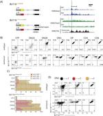 CD4 Antibody in Flow Cytometry (Flow)