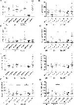 Bcl-2 Antibody in Flow Cytometry (Flow)