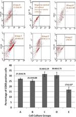 CD83 Antibody in Flow Cytometry (Flow)