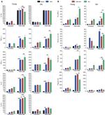 IL-21 Antibody