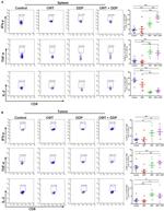 IL-2 Antibody in Flow Cytometry (Flow)