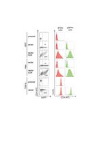 CD4 Antibody in Flow Cytometry (Flow)