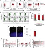 Nanog Antibody in Flow Cytometry (Flow)