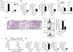 IL-13 Antibody in Neutralization (Neu)