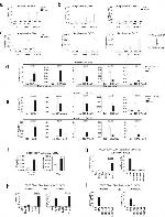 HDAC2 Antibody in ChIP Assay (ChIP)