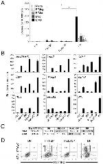 CD309 (FLK1) Antibody in Flow Cytometry (Flow)