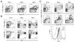 CD309 (FLK1) Antibody in Flow Cytometry (Flow)