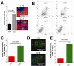 GL7 Antibody in Flow Cytometry (Flow)