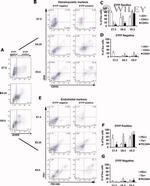 CD41a Antibody in Flow Cytometry (Flow)