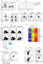 CD106 (VCAM-1) Antibody in Flow Cytometry (Flow)