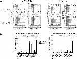 CD24 Antibody in Flow Cytometry (Flow)