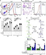 IL-33R (ST2) Antibody in Flow Cytometry (Flow)