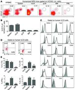 CD8 Antibody in Flow Cytometry (Flow)