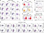 CD4 Antibody in Flow Cytometry (Flow)