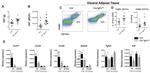 F4/80 Antibody in Flow Cytometry (Flow)