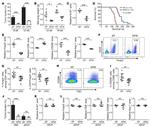 CD4 Antibody in Flow Cytometry (Flow)