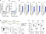 F4/80 Antibody in Flow Cytometry (Flow)