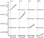 IL-4 Antibody in Radioimmune assays (RIA)