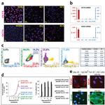 CD144 (VE-cadherin) Antibody in Flow Cytometry (Flow)