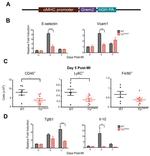 Ly-6C Antibody in Flow Cytometry (Flow)