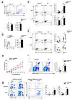 IL-22 Antibody in Flow Cytometry (Flow)