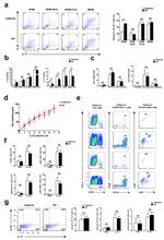 IL-22 Antibody in Flow Cytometry (Flow)