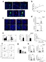 IL-22 Antibody in Flow Cytometry (Flow)