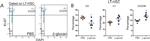 Ki-67 Antibody in Flow Cytometry (Flow)