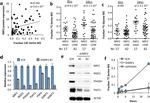 PSAT1 Antibody in Western Blot (WB)