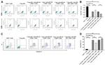 CD8 Antibody in Flow Cytometry (Flow)