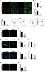 TER-119 Antibody in Flow Cytometry (Flow)