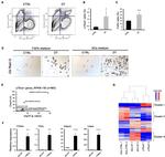 Ly-6A/E (Sca-1) Antibody in Flow Cytometry (Flow)