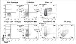 CD279 (PD-1) Antibody in Flow Cytometry (Flow)