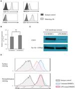 CD39 Antibody in Flow Cytometry (Flow)