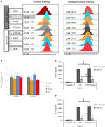 CD39 Antibody in Flow Cytometry (Flow)