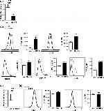 CD69 Antibody in Flow Cytometry (Flow)