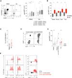 CD3 Antibody in T-Cell Activation (TCA)