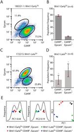 CD326 (EpCAM) Antibody in Flow Cytometry (Flow)