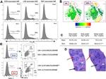 F4/80 Antibody in Flow Cytometry (Flow)