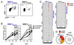 CD4 Antibody in Flow Cytometry (Flow)