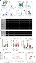 HLA-DR Antibody in Flow Cytometry (Flow)