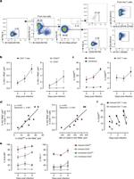 CD4 Antibody in Flow Cytometry (Flow)