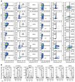 CD48 Antibody in Flow Cytometry (Flow)