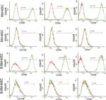 CD90.1 (Thy-1.1) Antibody in Flow Cytometry (Flow)