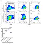 Ly-6G/Ly-6C Antibody in Flow Cytometry (Flow)