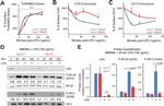 TLR4/MD-2 Complex Antibody in Flow Cytometry (Flow)