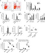 CD4 Antibody in Flow Cytometry (Flow)