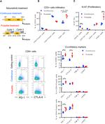 Ki-67 Antibody in Flow Cytometry (Flow)