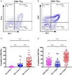 TIGIT Antibody in Flow Cytometry (Flow)