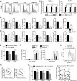 TNF alpha Antibody in Flow Cytometry (Flow)